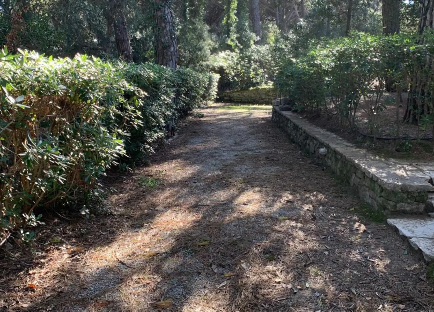 Villa Donoratico Marina di Castagneto Carducci